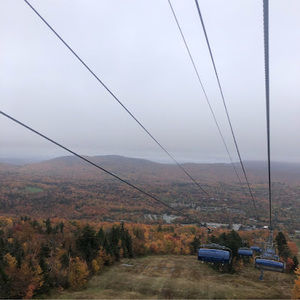 Meet your Posher, Cody